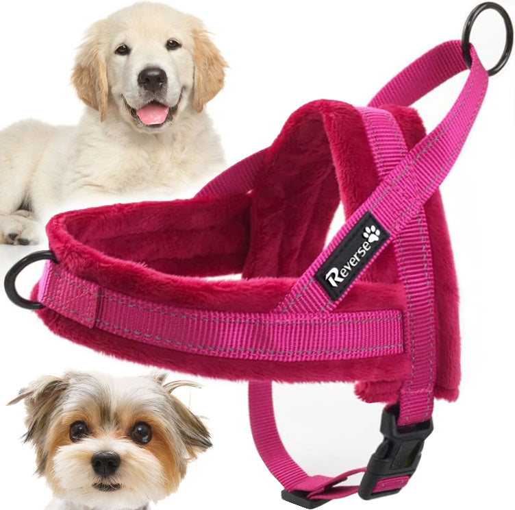 PRESSURE-FREE GUARD HARNESS FOR DOG STRONG SOFT LINING NORWEGIAN M