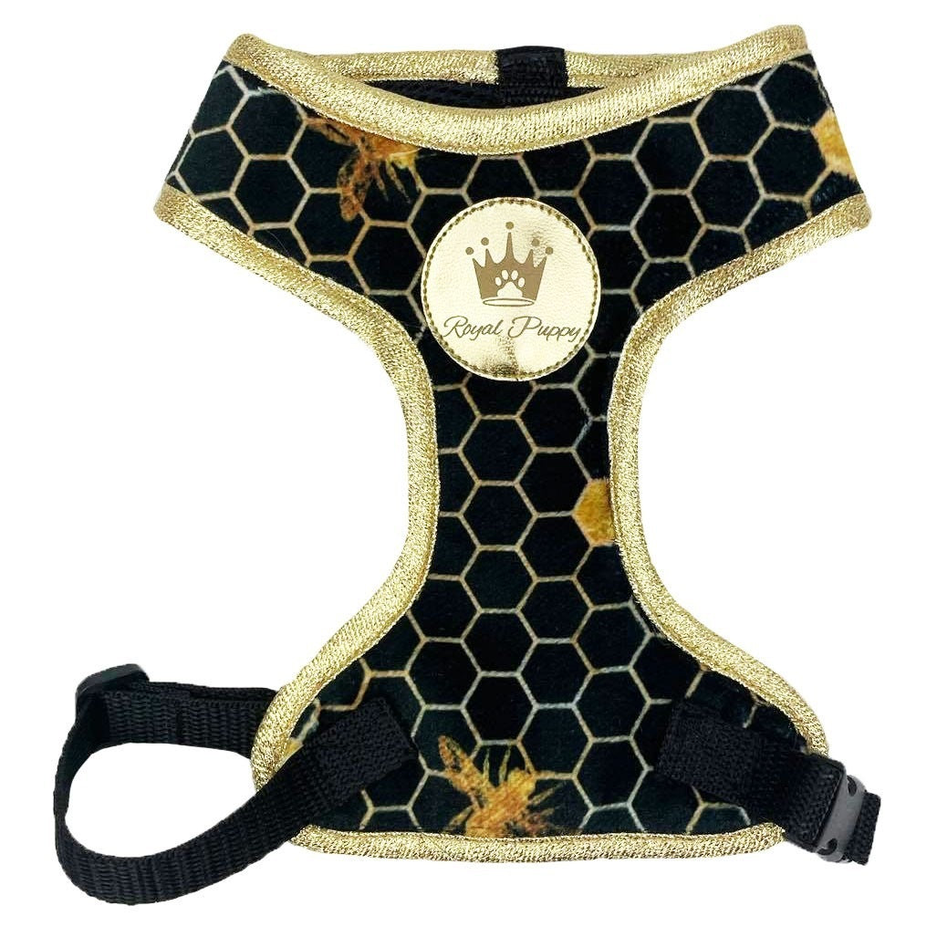 PRESSURE-FREE HARNESS BEE BLACK GOLD LUXURY DETAILS FOR CAT DOG