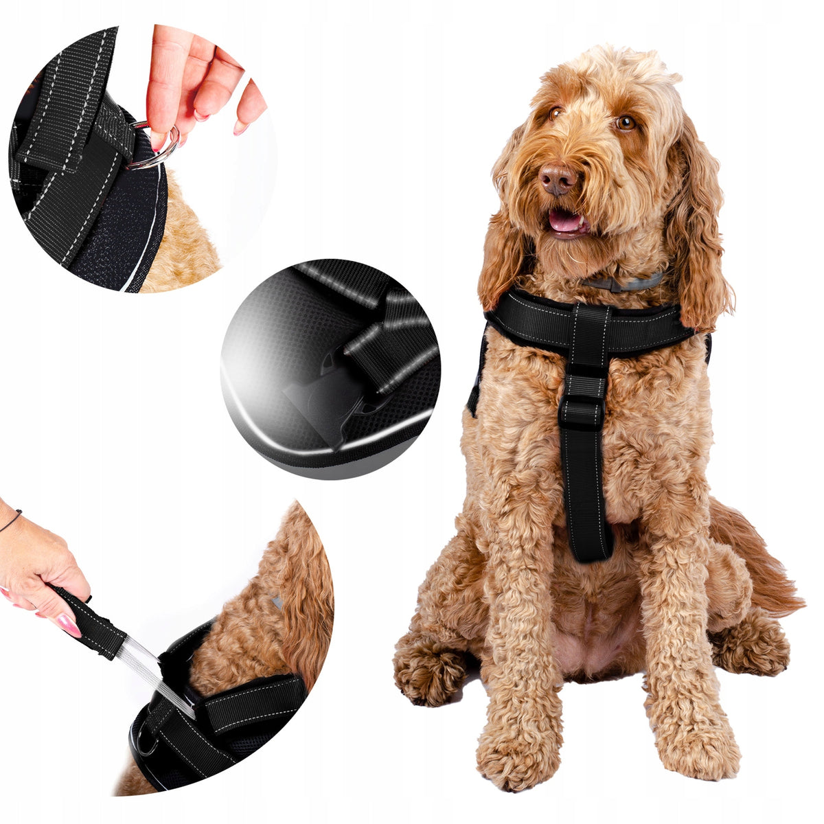 PRESSURE-FREE HARNESS FOR A LARGE DOG WITH A SHORT HANDLE COMFORTABLE STRONG GUARD XL Brand Patento Pet