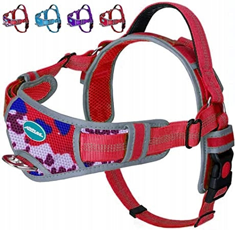 PRESSURE-FREE HARNESS FOR BIG DOG STRONG SOFT SIZE XL