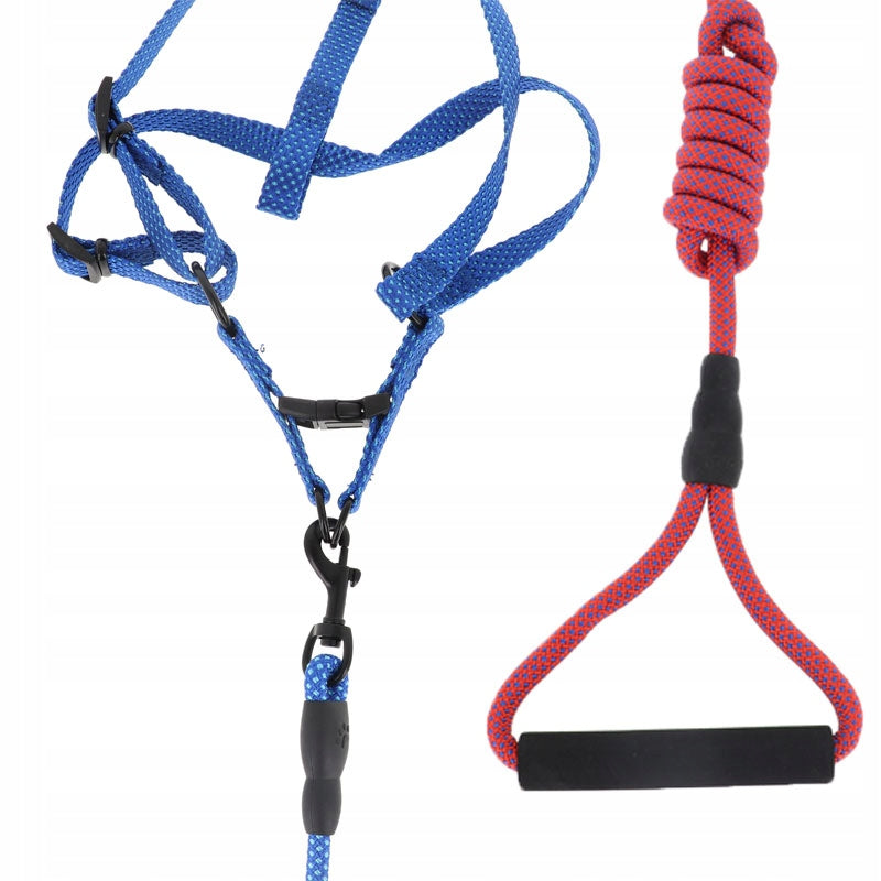 PRESSURE-FREE HARNESS FOR DOG SET LANYARD Size S Brand no brand