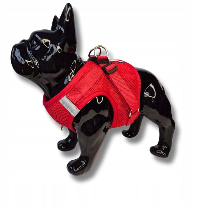 PRESSURE-FREE HARNESS FOR SMALL DOG Vest BENXI + LEASH beige XS Size XS