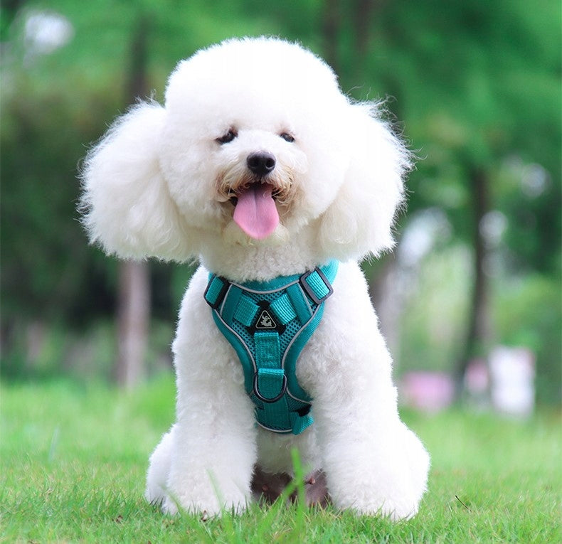 PRESSURE-FREE HARNESS TYPE GUARD DOG CAT LEASH ,M Manufacturer code a79dcfdf-014b