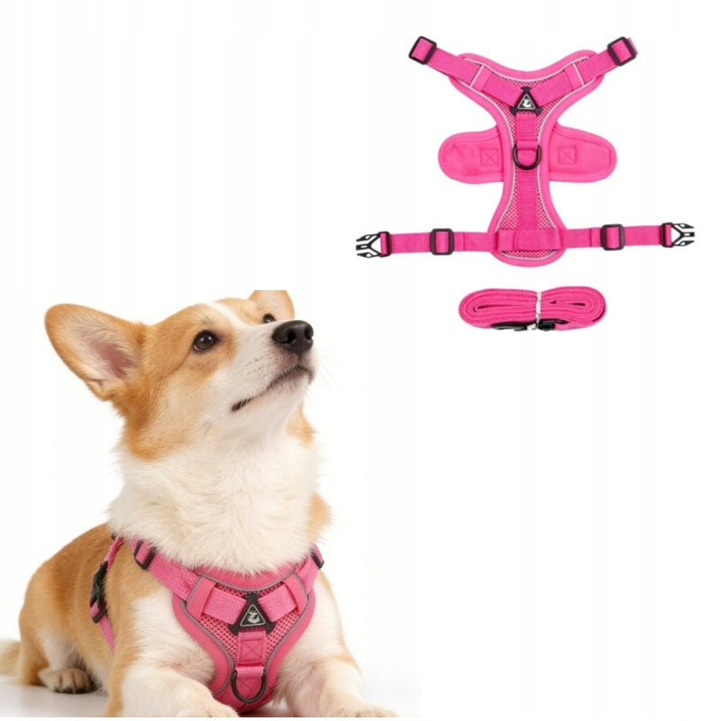 PRESSURE-FREE HARNESS TYPE GUARD + DOG CAT LEASH S