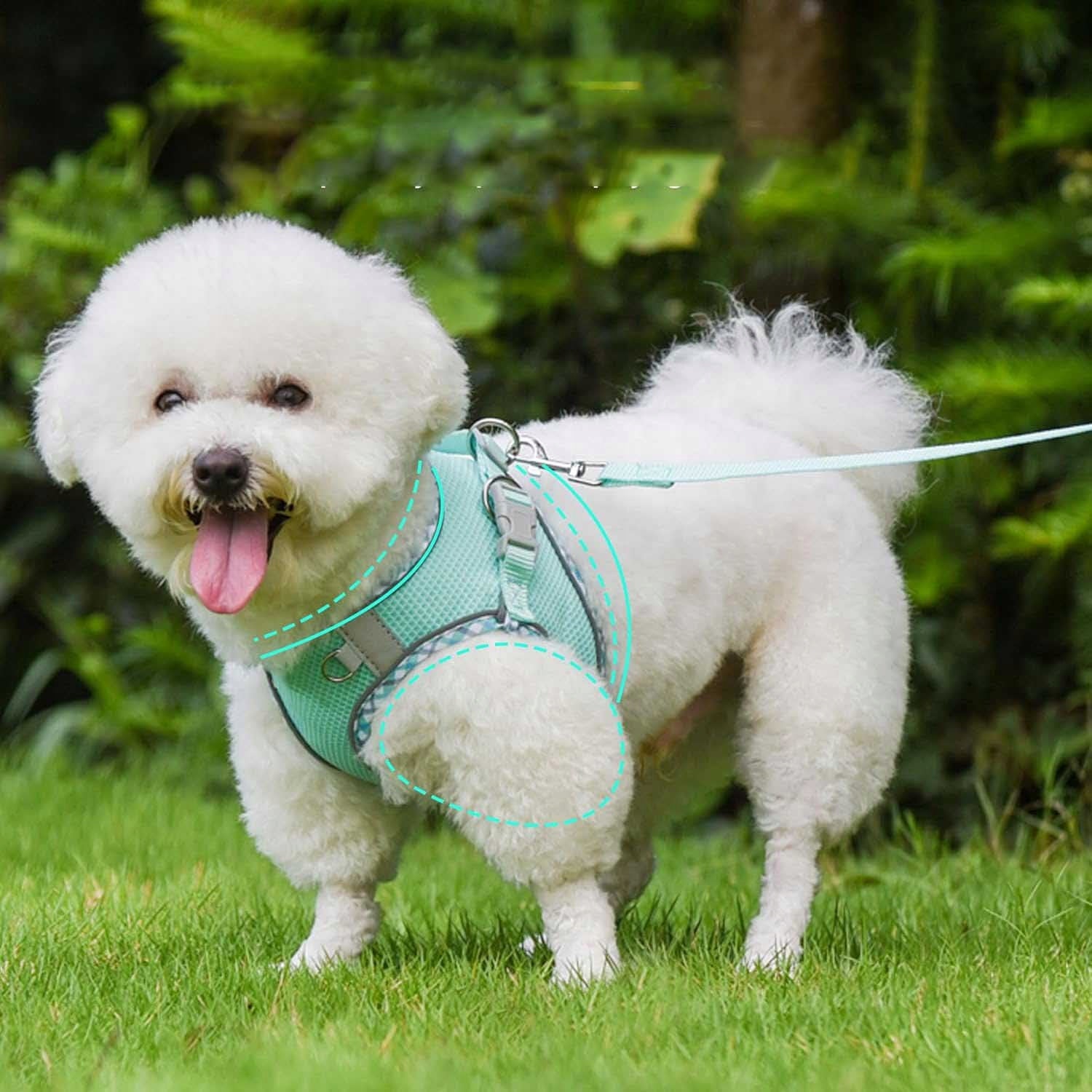 PRESSURE-FREE HARNESS for SMALL DOG Vest + LEASH green S Manufacturer code ZGEER OHTRT