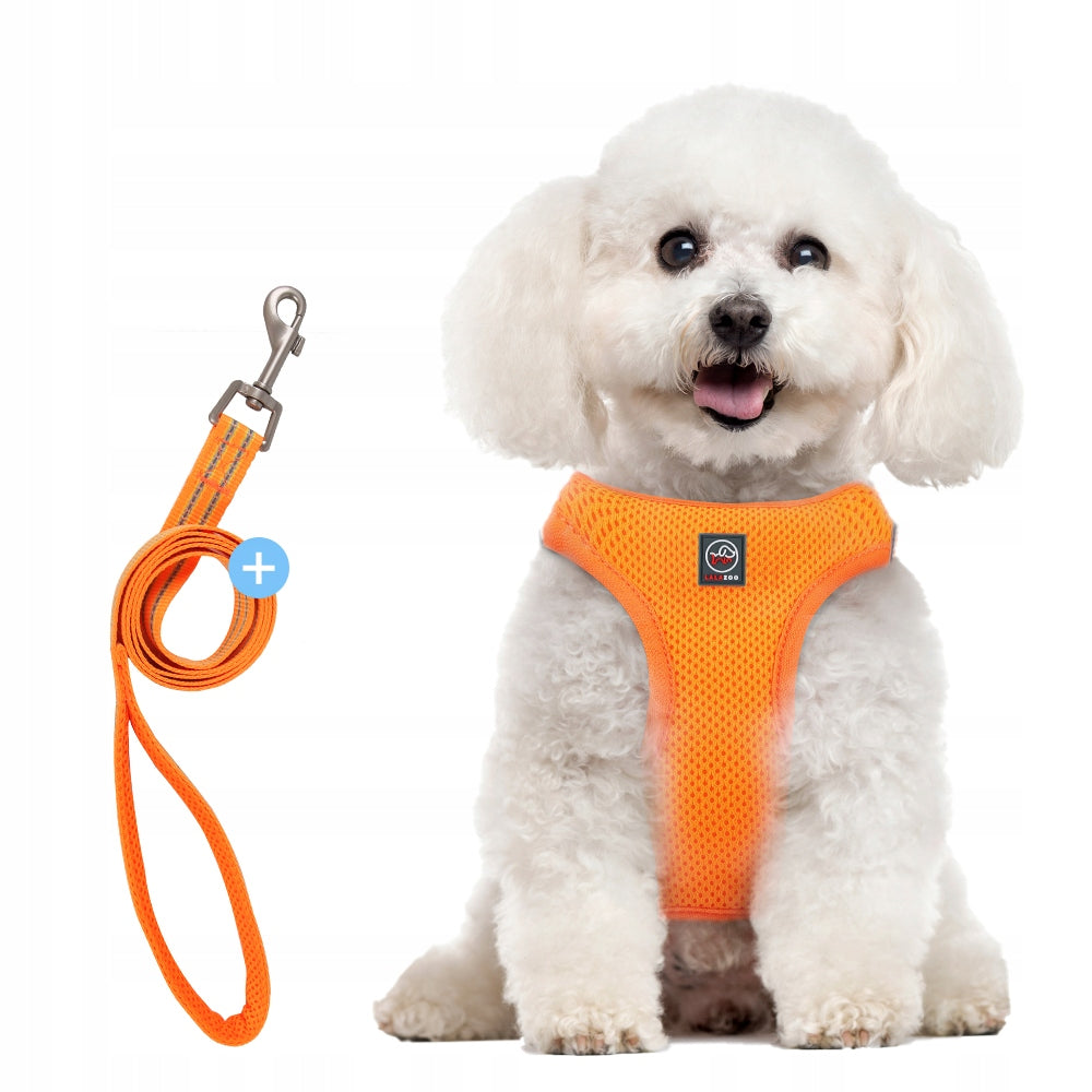 PRESSURE-FREE HARNESS for dog breathable micro breed MIAMI+LEASH red XXXS Brand Lalazoo