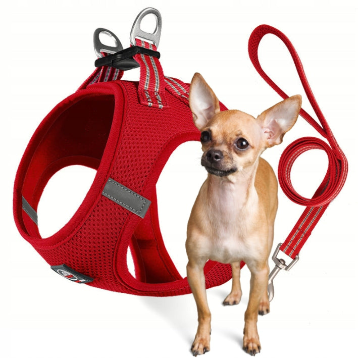 PRESSURE-FREE HARNESS for dog breathable micro breed MIAMI+LEASH red XXXS