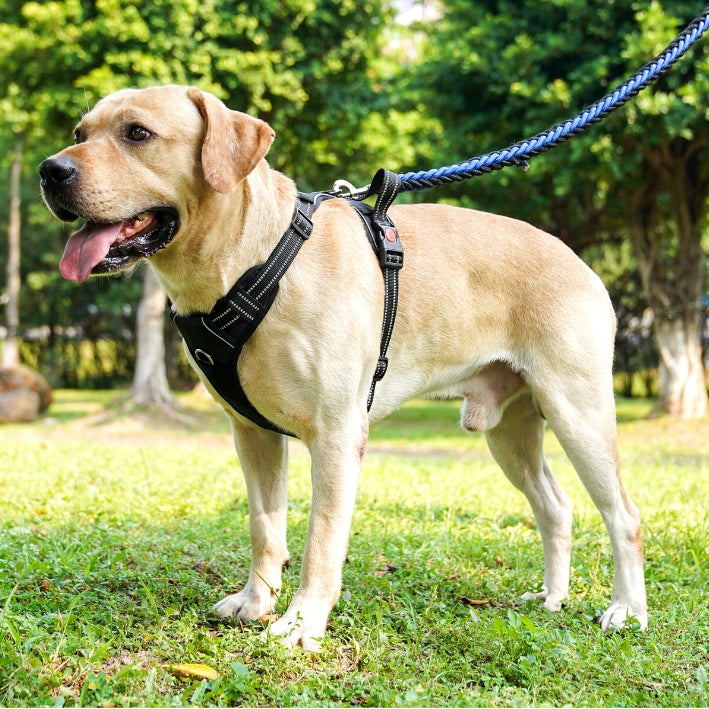 PRESSURE-FREE HARNESS type GUARD for dog ELITE L charm Size L