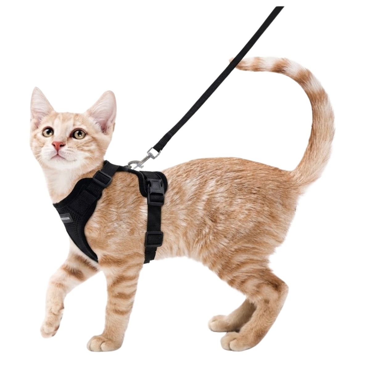PRESSURE-FREE WALKING HARNESS ADJUSTABLE FOR CAT PROFESSIONAL + LEASH XS Packaging status original