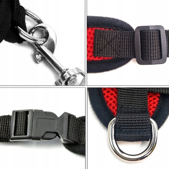 PRESSURE-FREE WALKING HARNESS FOR CAT DOG L BREATHABLE COMFORTABLE WITH LEASH Size L