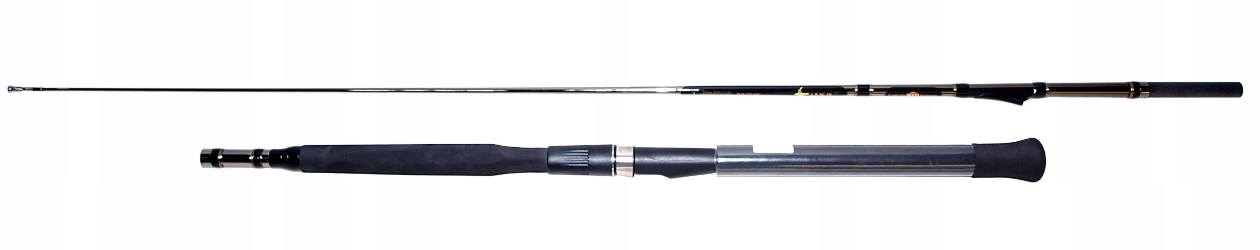 PRION WFT Cod fishing rod, catfish 300-600g, 2,1m