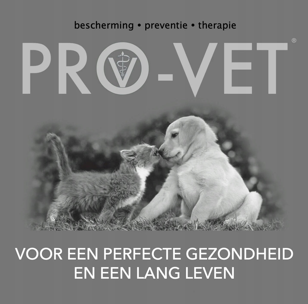 PRO-VET Hepatic DOG 2.5 kg Packaging status original