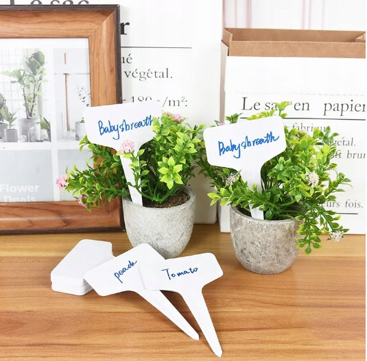 PRODUCTION FLOWER POT ROUND 13cm SEEDLINGS GROWING PLAQUE FREEBIE Material synthetic material