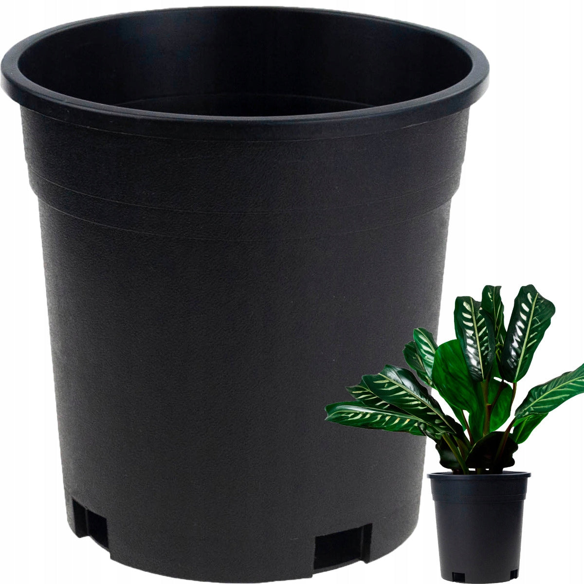 PRODUCTION POT HIGH ROUND SEEDLING WITH RIM 140X140MM SEEDLINGS