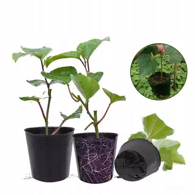PRODUCTION POTS P9 100pcs FOR SEEDLING CROPS 9x8,5cm+10xmarkers Packaging status original