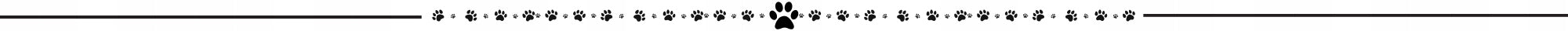 PROFESSIONAL DOG MAT FOR CAR SEAT COVER Product height 145 cm
