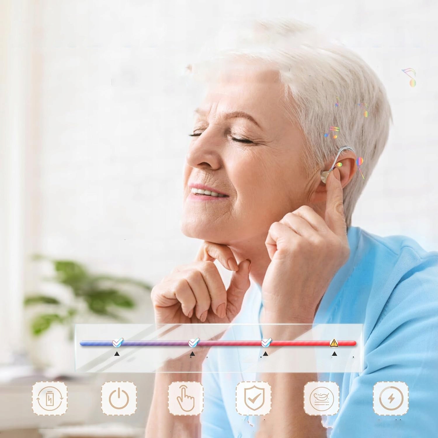 PROFESSIONAL HEARING AIDS FOR SENIORS WITH NOISE CANCELLATION + CHARGING CASE Manufacturer of a medical device USB HEARING AIDS