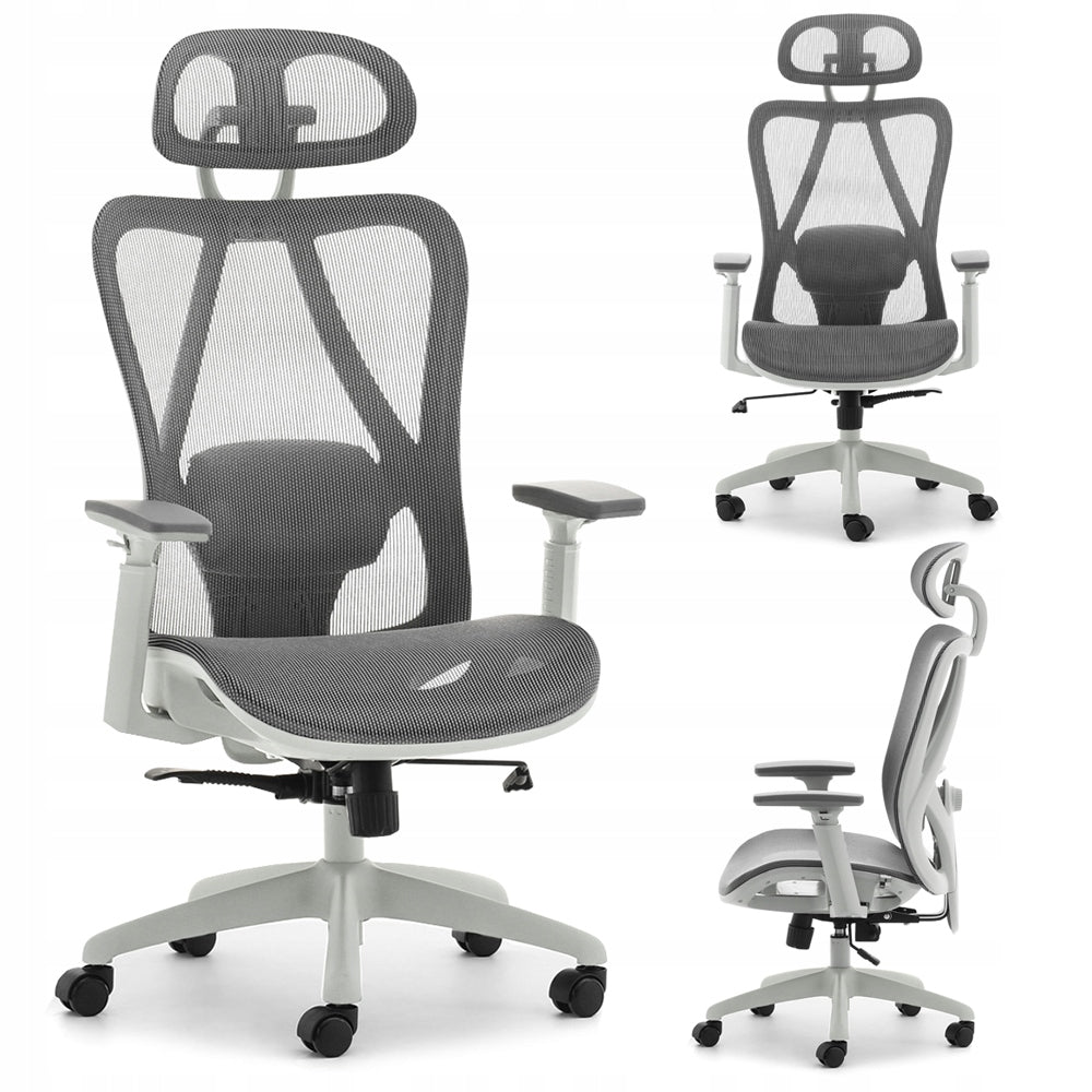 PROFESSIONAL OFFICE CHAIR WITH ADJUSTABLE HEADREST DAREN GREY MESH