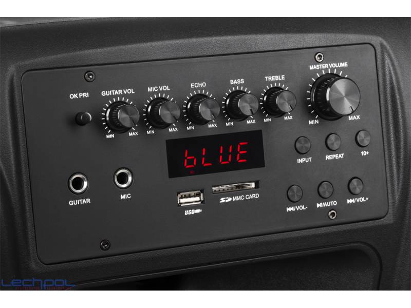 PROFESSIONAL PORTABLE ACTIVE COLUMN USB 15'' 2 WIRELESS MICROPHONES Batteries included yes