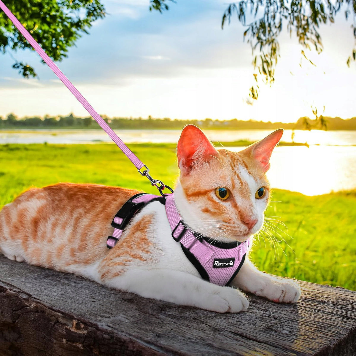 PROFESSIONAL PRESSURE-FREE WALKING HARNESS ADJUSTABLE FOR CAT + LEASH M Manufacturer code PR.PINK.M
