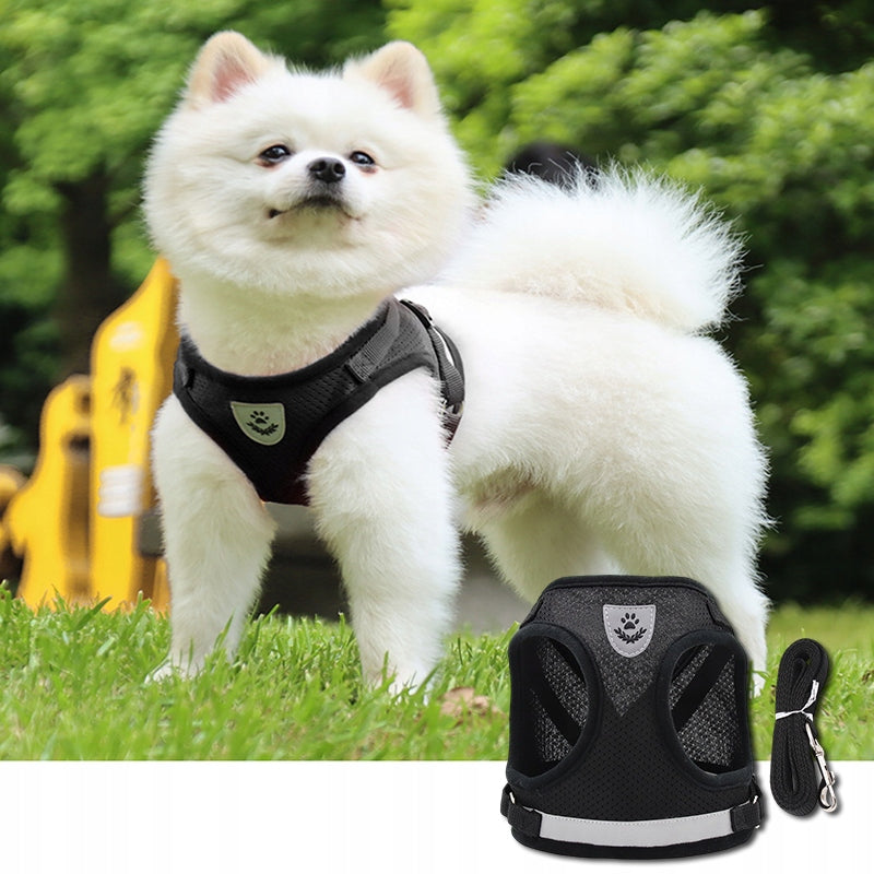 PROFESSIONAL PRESSURE-FREE WALKING HARNESS ADJUSTABLE FOR CAT + LEASH S Manufacturer code SZELKI DLA PSA KOTA SPACEROWE ODBLASKOWE