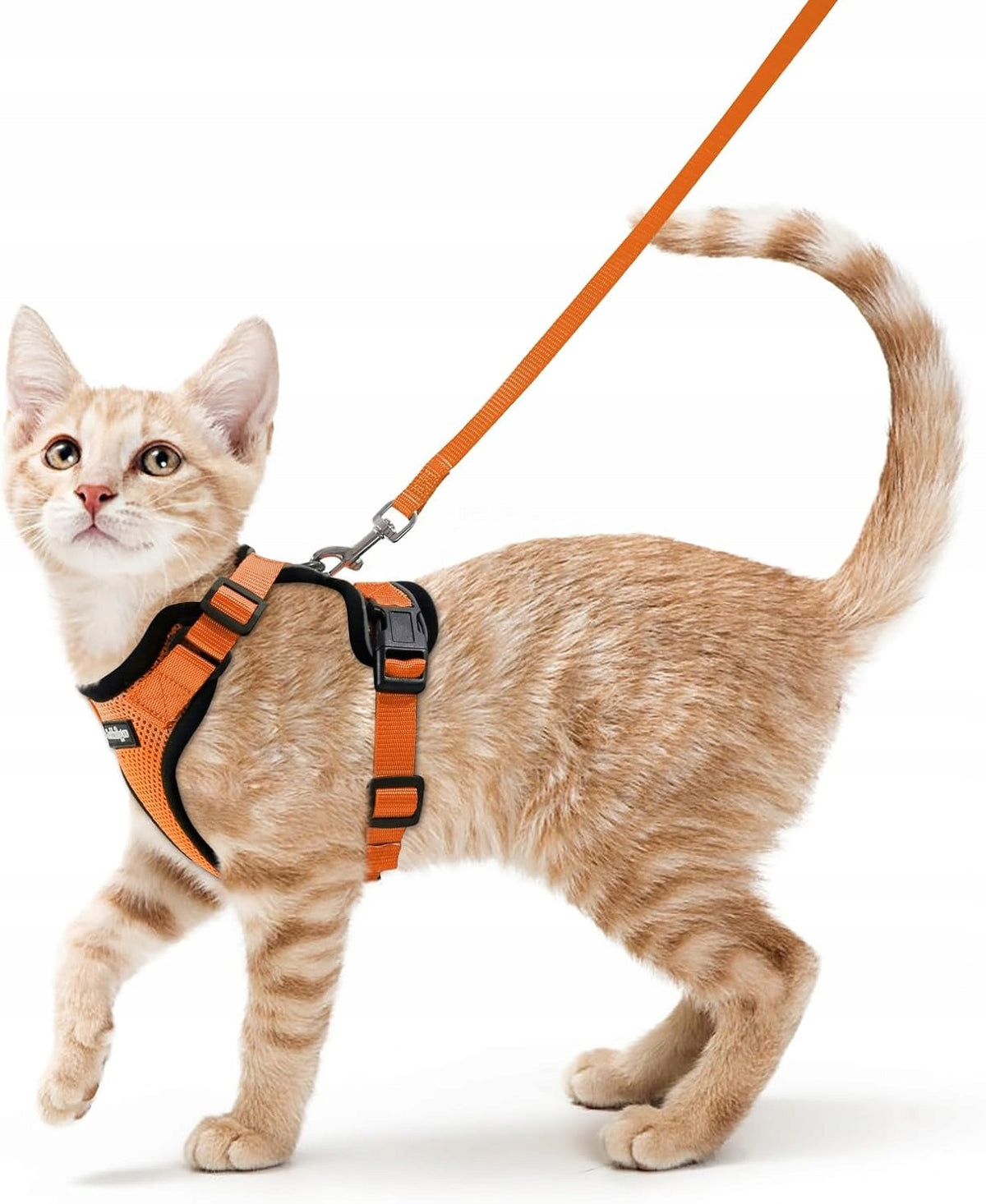 PROFESSIONAL PRESSURE-FREE WALKING HARNESS ADJUSTABLE FOR CAT + LEASH XS