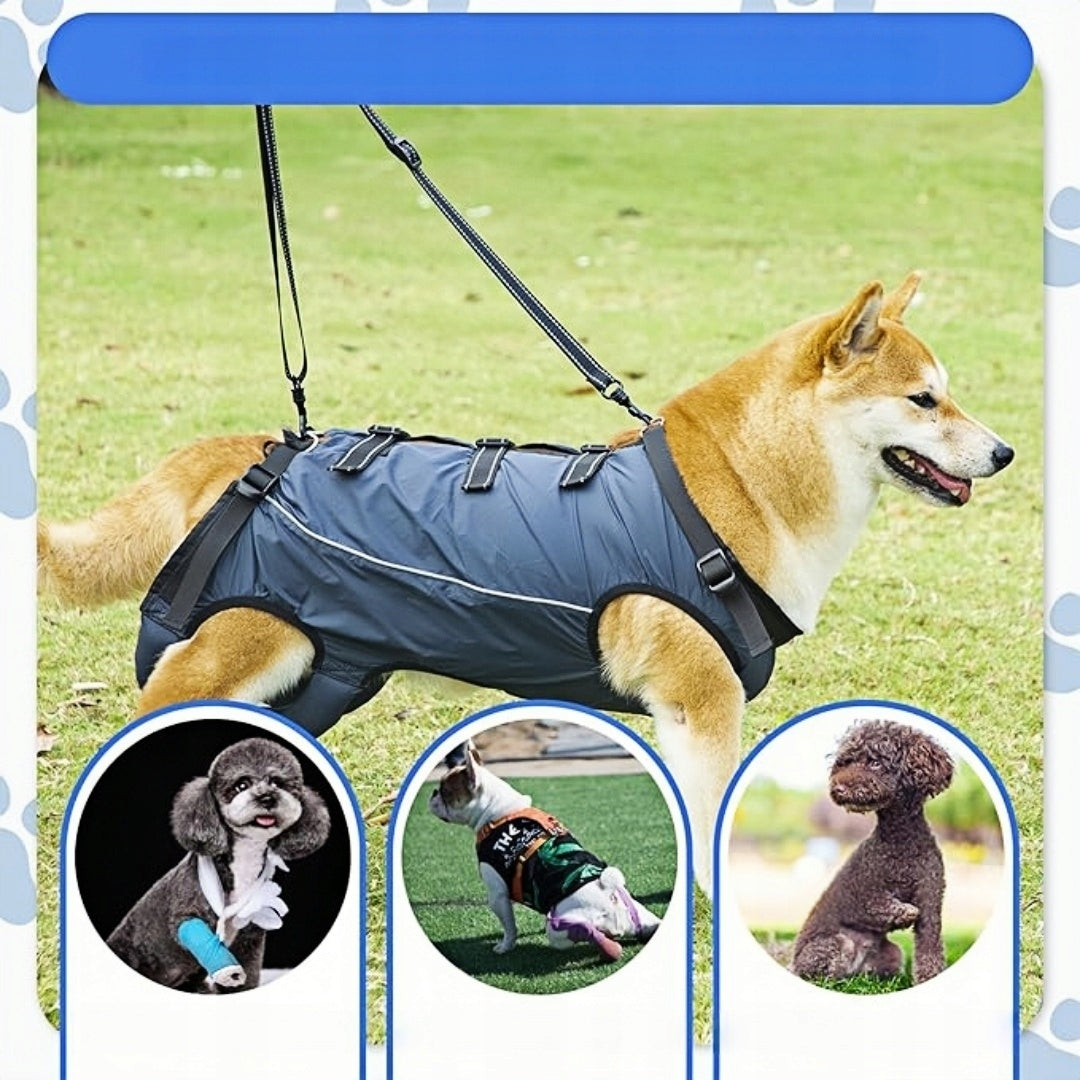 PROFESSIONAL PRESSURE-FREE WALKING HARNESS ADJUSTABLE FOR DOG SIZE M Manufacturer code Szelki dla Psa Wspomagające Chodzenie