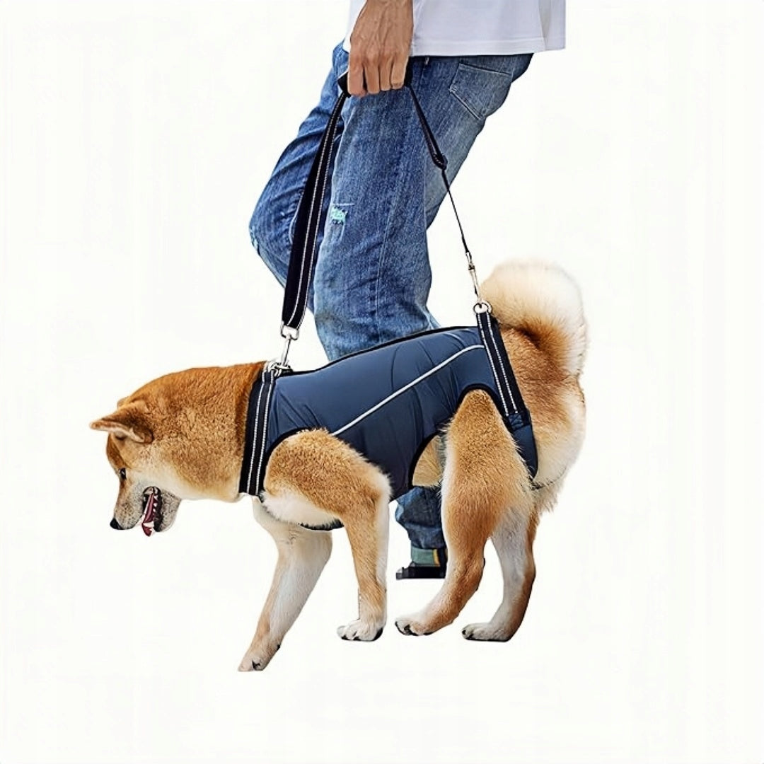 PROFESSIONAL PRESSURE-FREE WALKING HARNESS ADJUSTABLE FOR DOG SIZE M Packaging status original