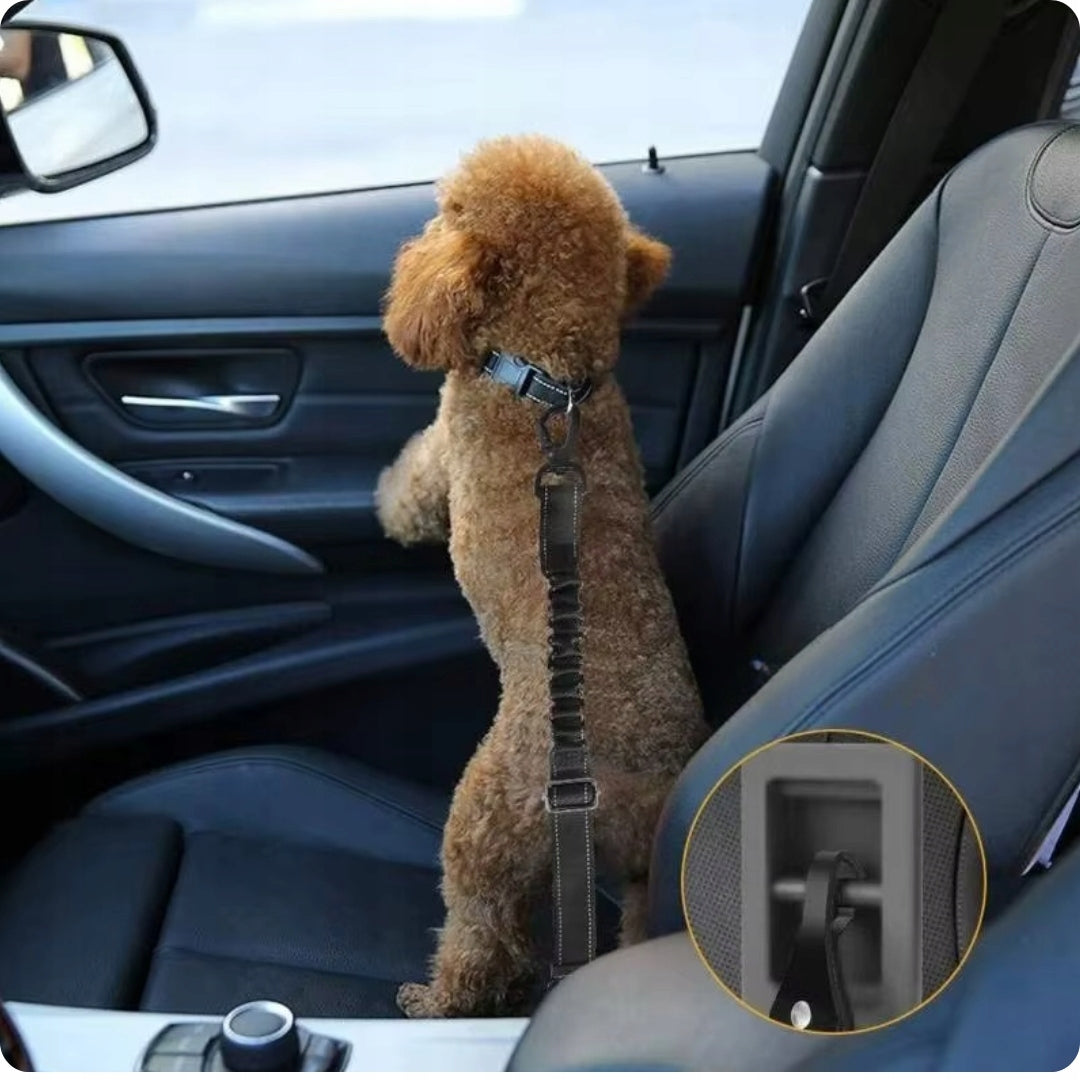 PROFESSIONAL SEAT BELT LANYARD BELTS FOR DOG CAT CAR Product height 76 cm
