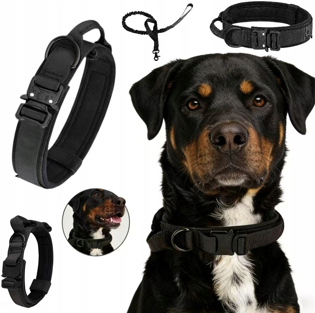 PROFESSIONAL TACTICAL COLLAR FOR BIG DOG BUCKLE STRONG XL Manufacturer code OBR.ZP.DP.QR.XL