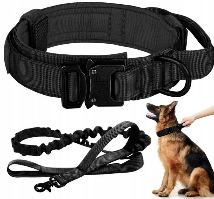 PROFESSIONAL TACTICAL COLLAR FOR BIG DOG BUCKLE STRONG XL