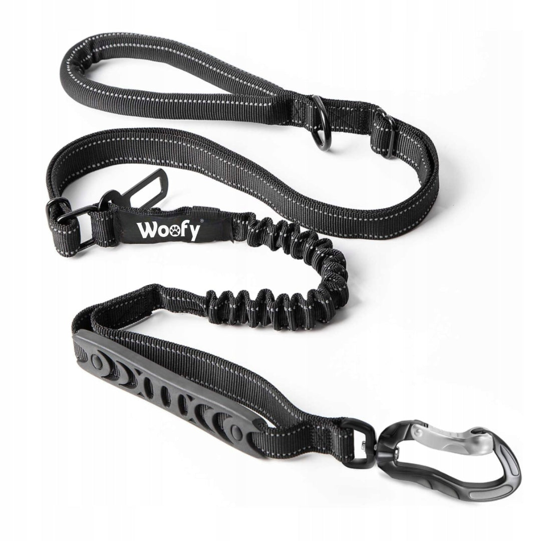 PROFESSIONAL TRAINING leash ADJUSTABLE CAR FOR DOG