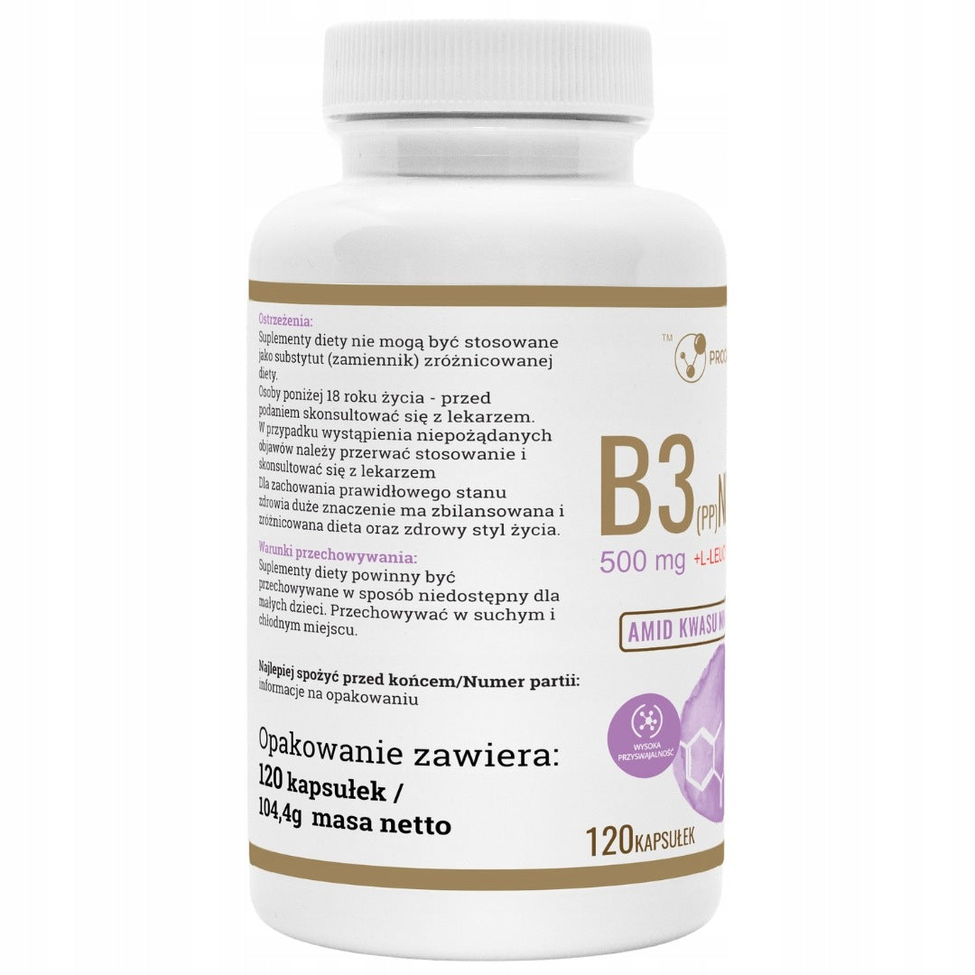 PROGRESS LABS NIACIN VITAMIN B3 (PP) 500mg 120 CAPSULES VEGAN Brand Progress Labs