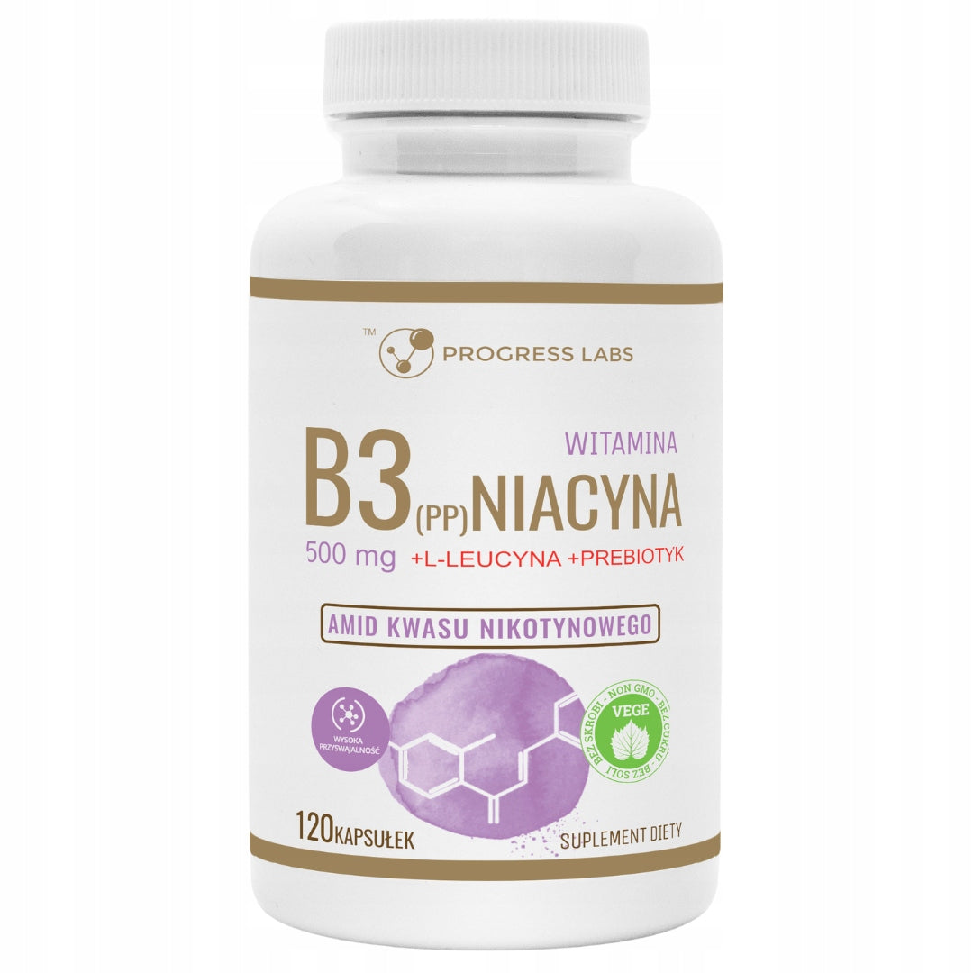 PROGRESS LABS NIACIN VITAMIN B3 (PP) 500mg 120 CAPSULES VEGAN
