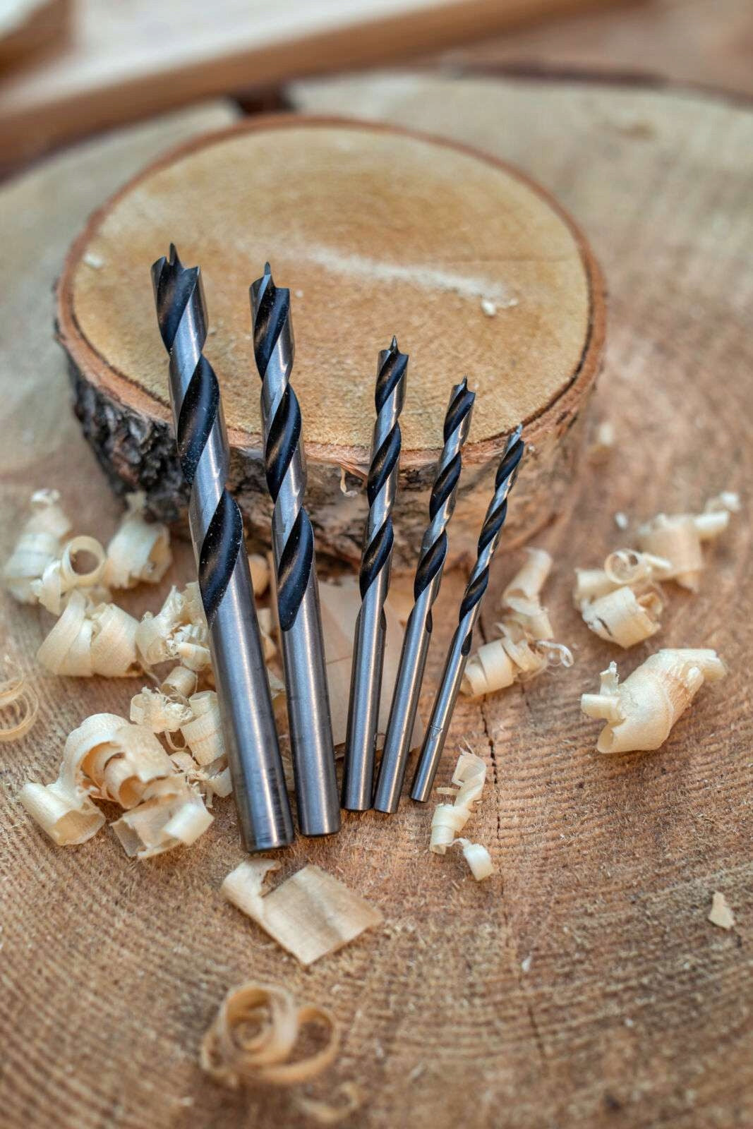 PROLINE Wood drill bits 3-10 mm set of 8 elements Brand Proline