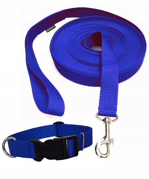 PROMOTION TRAINING leash 10m/2cm+collar freebie