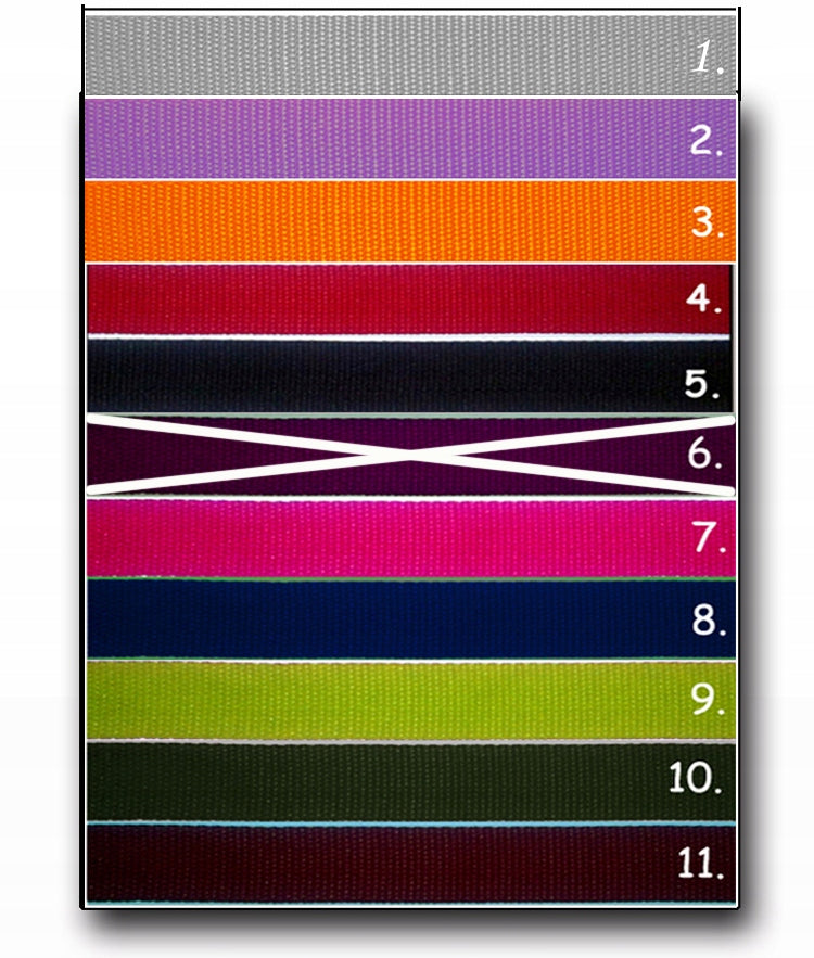 PROMOTION TRAINING leash 2m/2,5cm Manufacturer code ST2/2,5