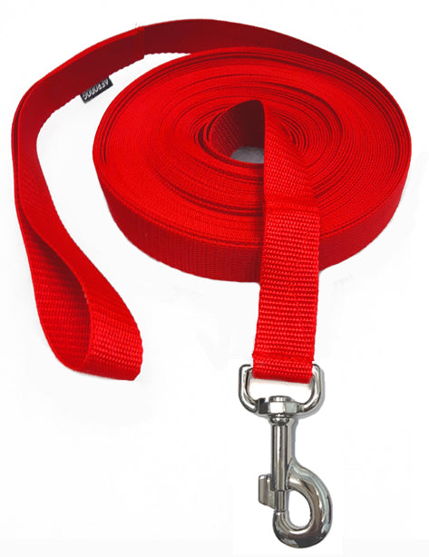 PROMOTION TRAINING leash 2m/3cm D. CARABINER