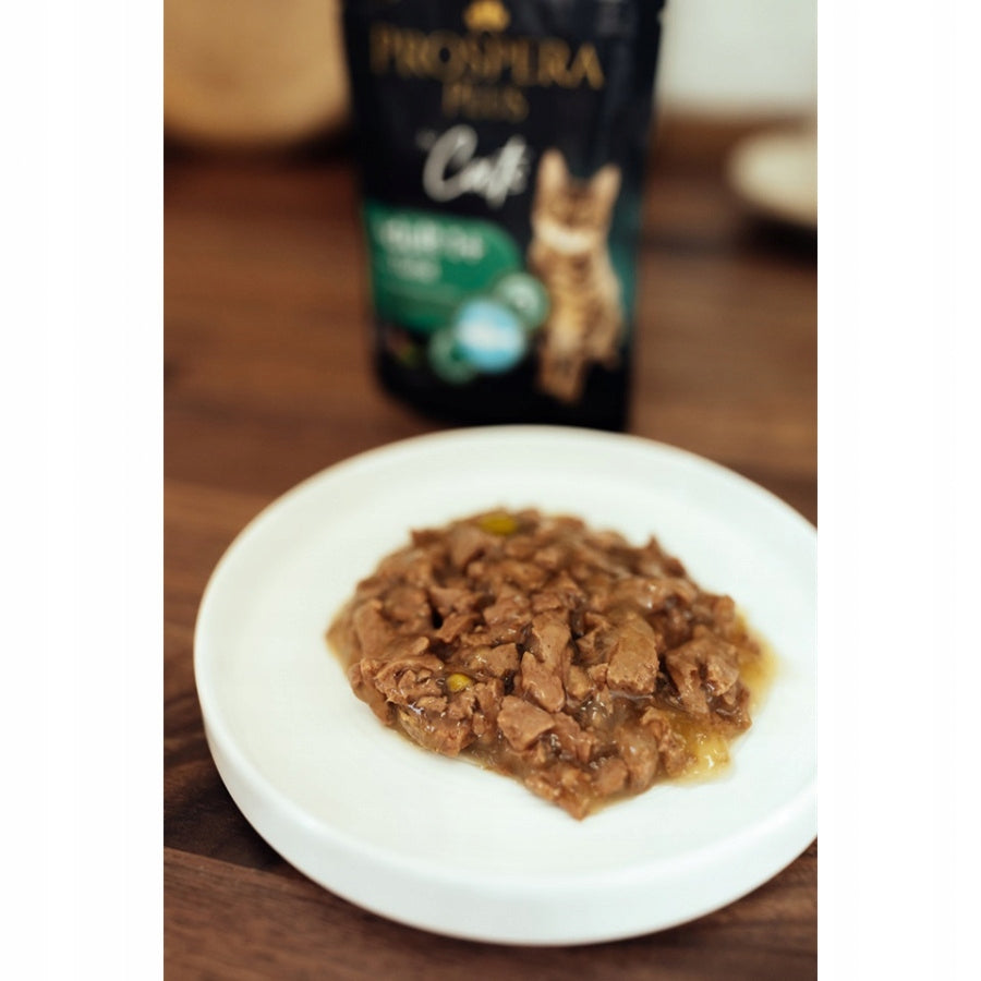 PROSPERA PLUS 85g wet cat food beef SHORT DATE Packaging status original
