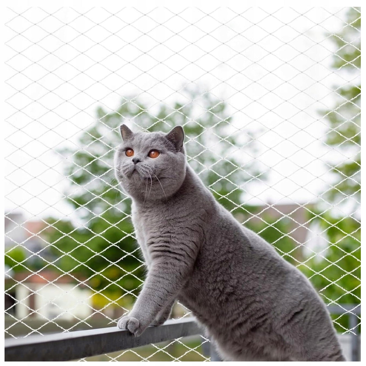 PROTECTIVE MESH PROTECTION FOR CATS BALCONY WINDOW DOOR TERRACE 5x5m