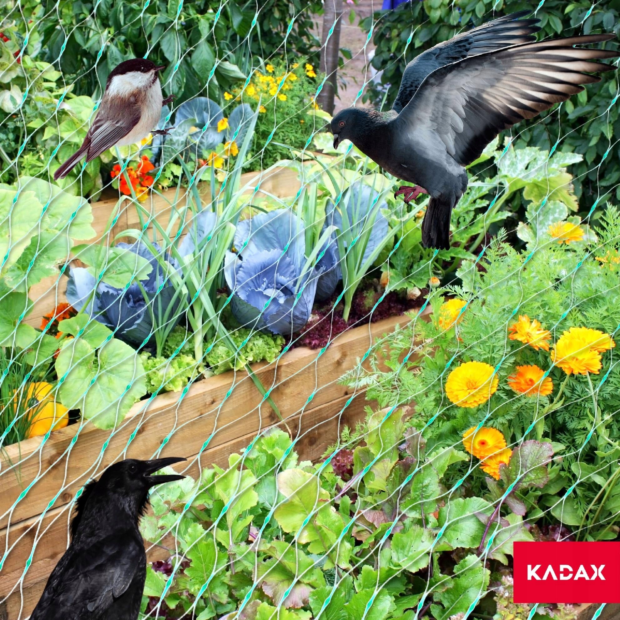PROTECTIVE NET FOR BIRDS AGAINST BIRDS STARLINGS PIGEONS STRONG COVER 5x100m Use Against birds