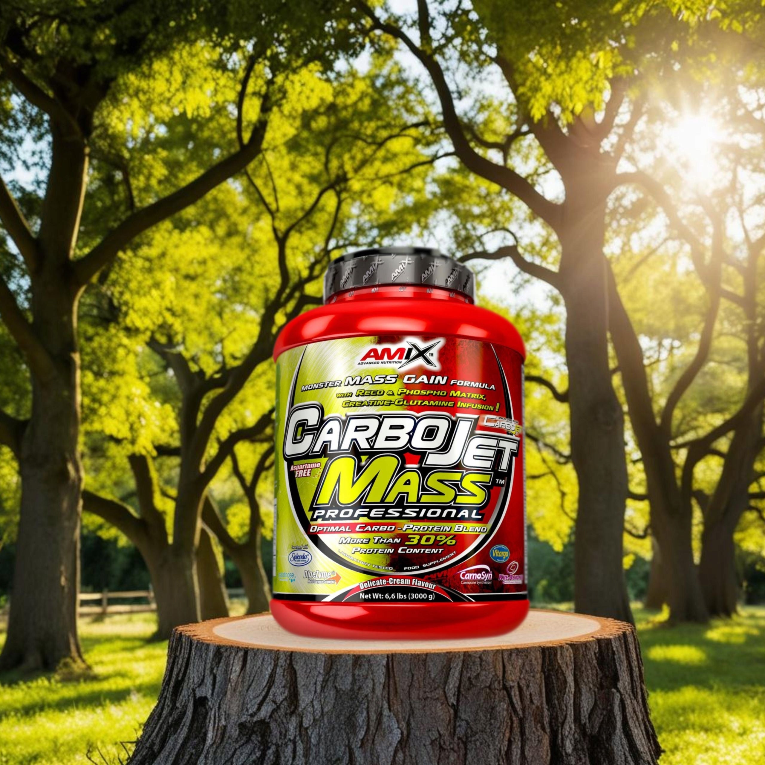 PROTEIN CONDITIONER MASS BCAA Protein Complex Carbohydrates Palatinose VItargo Expiration date at least six months from the date of purchase
