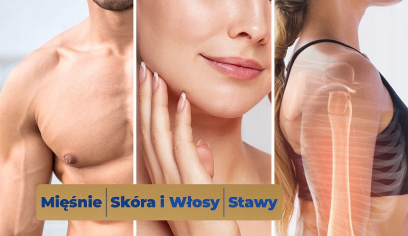 PROTEIN SUPPLEMENT PROTEIN Whey WPC + Beef Collagen - Muscles Joints Beauty Packaging status original