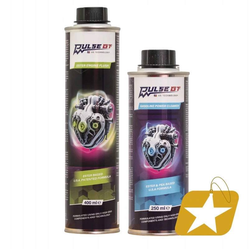 PULSE GT GASOLINE POWER CLEANER 250ML + ESTER
