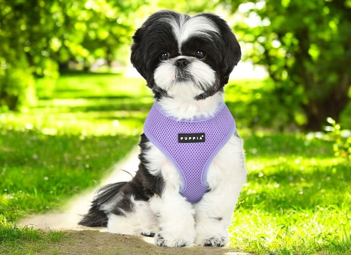 PUPPIA Soft Dog Harness Breathable Adjustable L Lilac Manufacturer code szel_pupp_soft_violet3