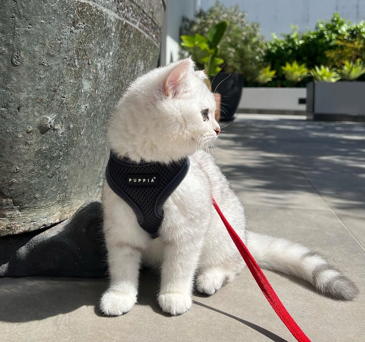 PUPPIA soft graphite dog or cat harness - size: XS Dog size small dog