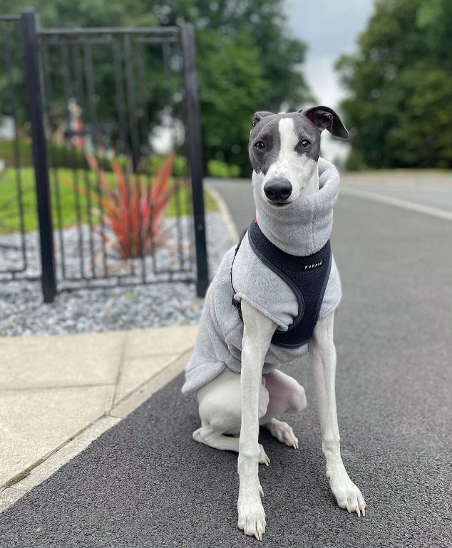 PUPPIA soft graphite dog or cat harness - size: XS Kind walking harness