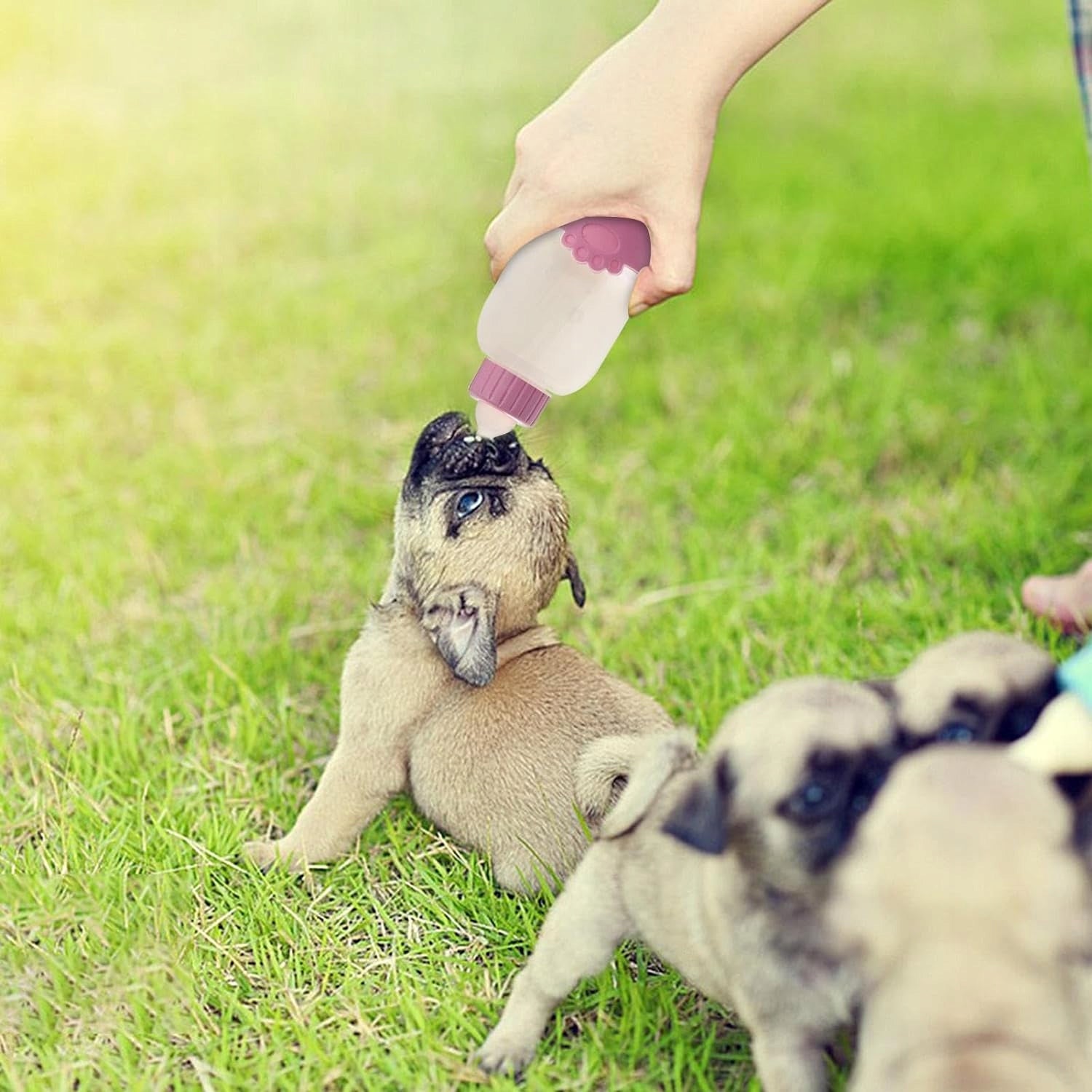 PUPPY KITTEN FEEDING BOTTLE SET WITH PACIFIERS BRUSH UNCLOGGER Material silicone