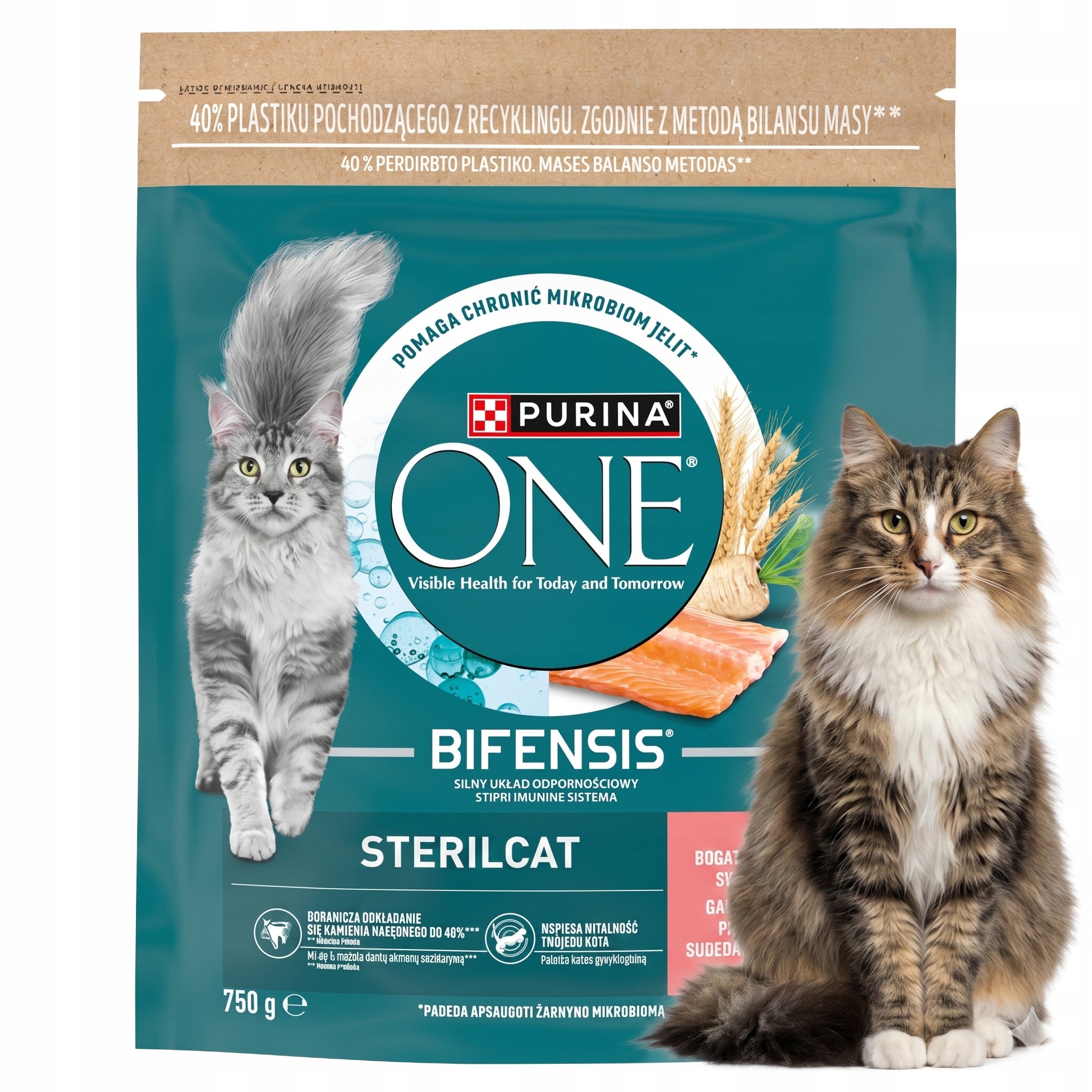 PURINA Dry Cat Food Salmon and Wheat ONE Adult TARTAR 750g Manufacturer code 8445290062277