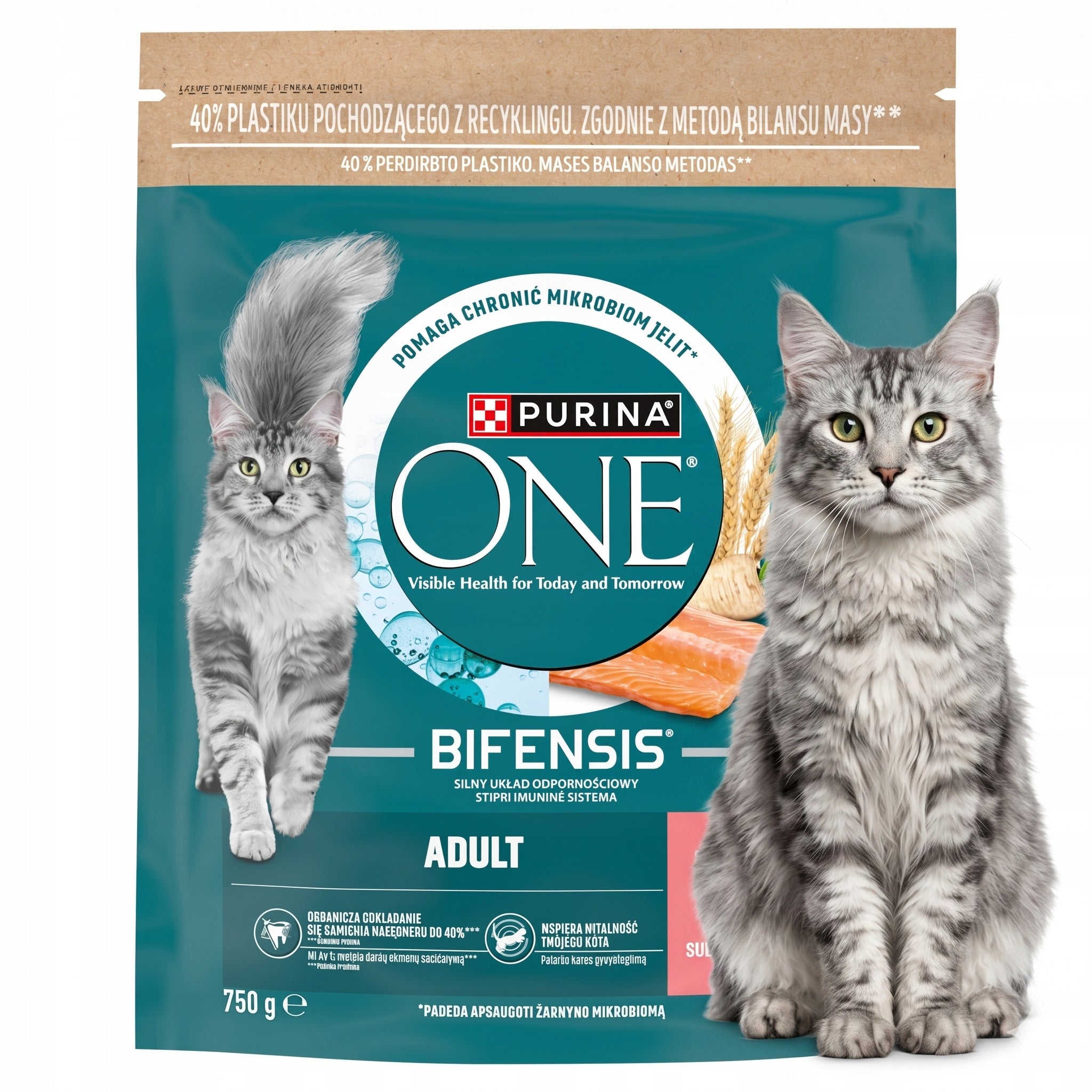 PURINA Dry Cat Food Salmon and Wheat ONE Adult TARTAR 750g Packaging status original